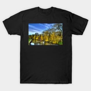 Weeping Willows T-Shirt